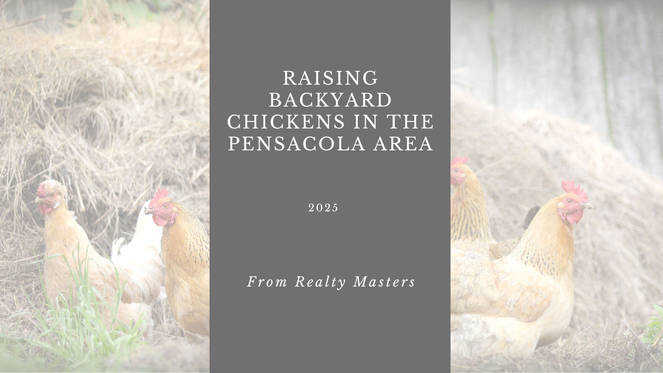 Raising Backyard Chickens in Pensacola, Florida